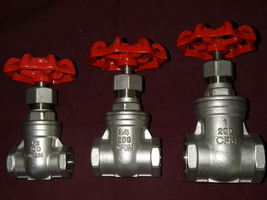 Stainless Gate Valve 3/4